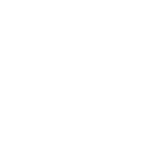 Process-Centered Management