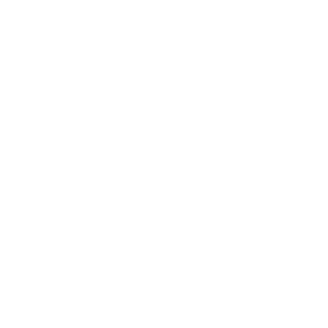 Customized Consulting