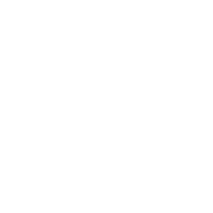 Process-Centered Management Training